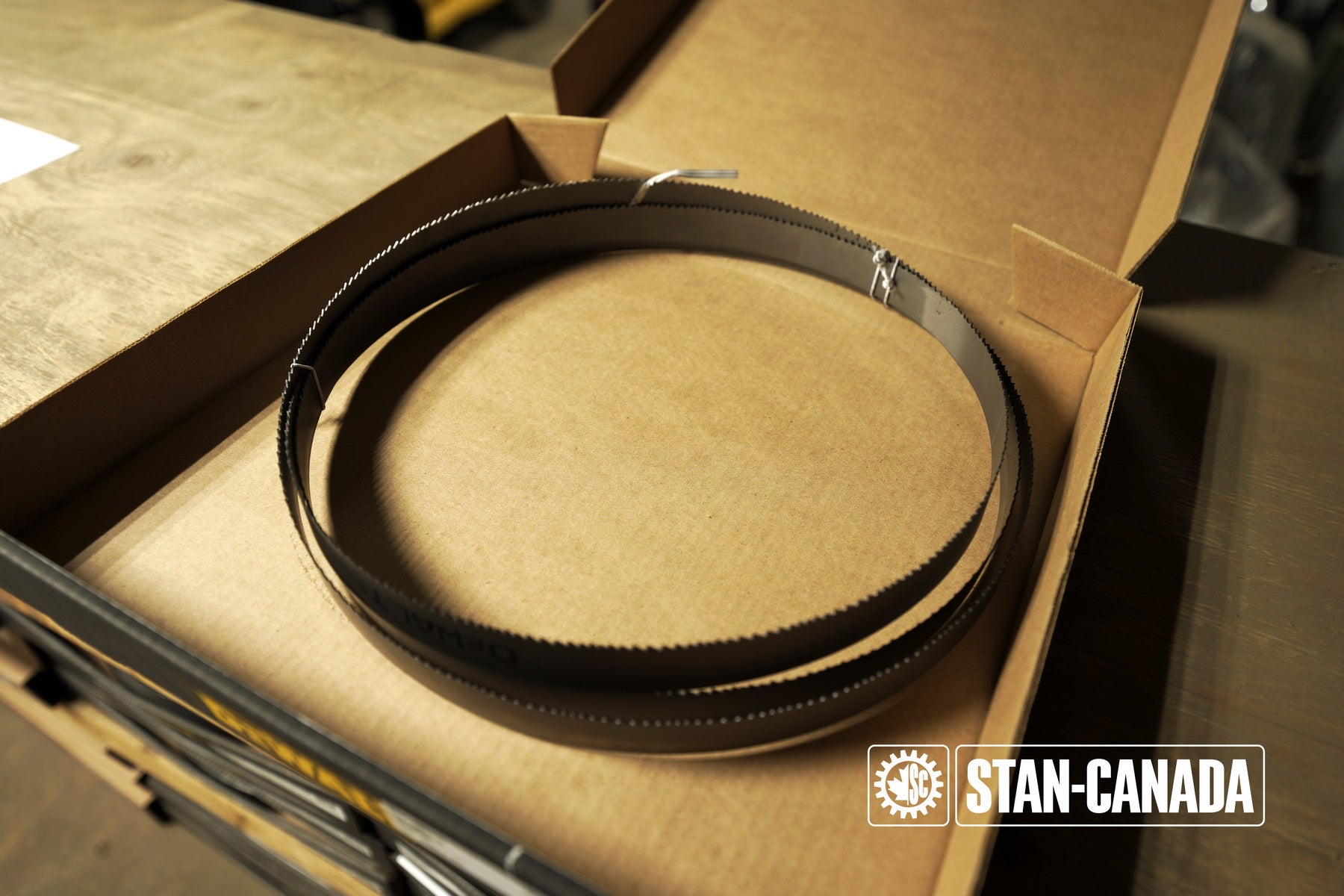 DeWalt Bandsaw Blades - 10ft - Stan Canada