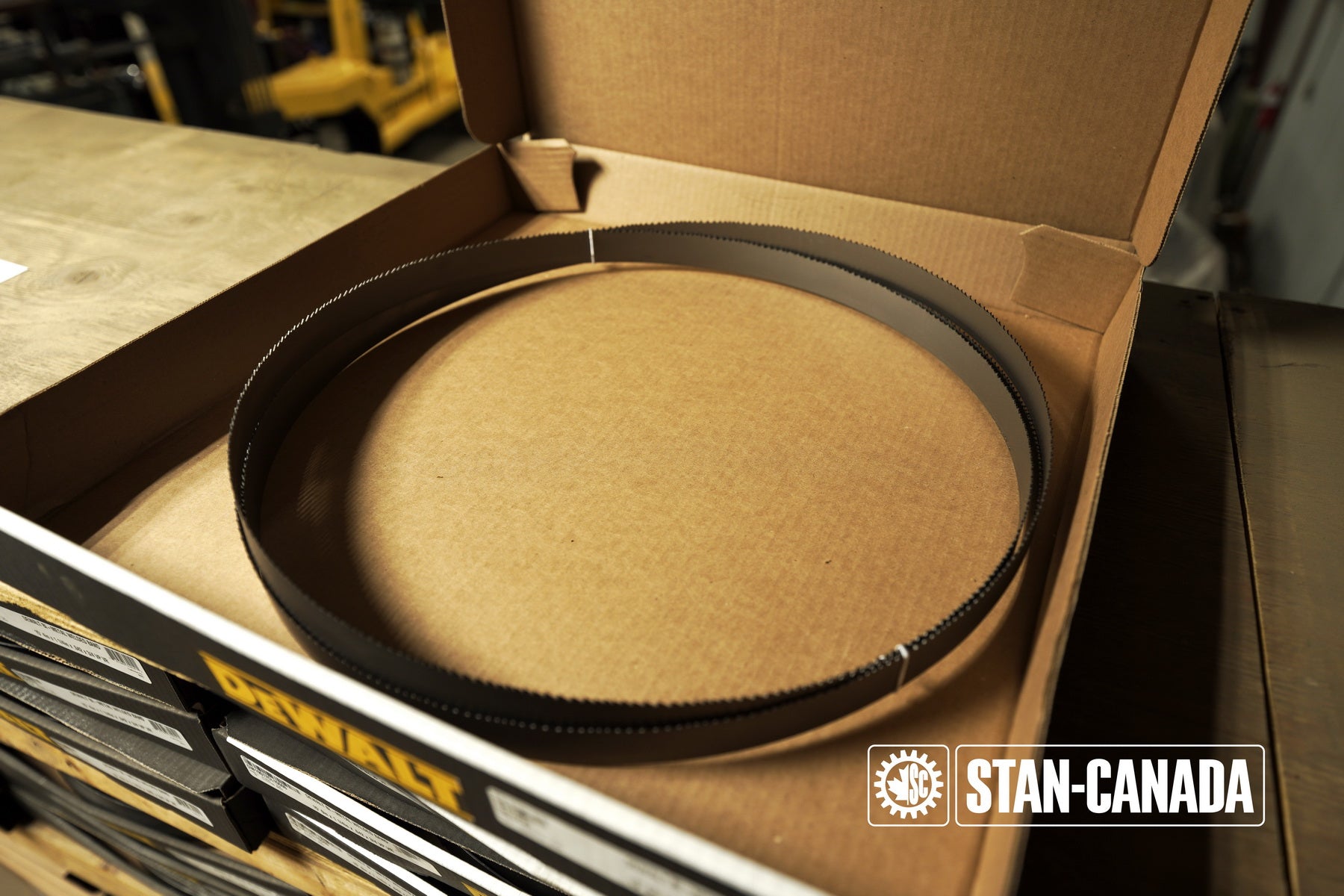 DeWalt Bandsaw Blades - 13ft - Stan Canada