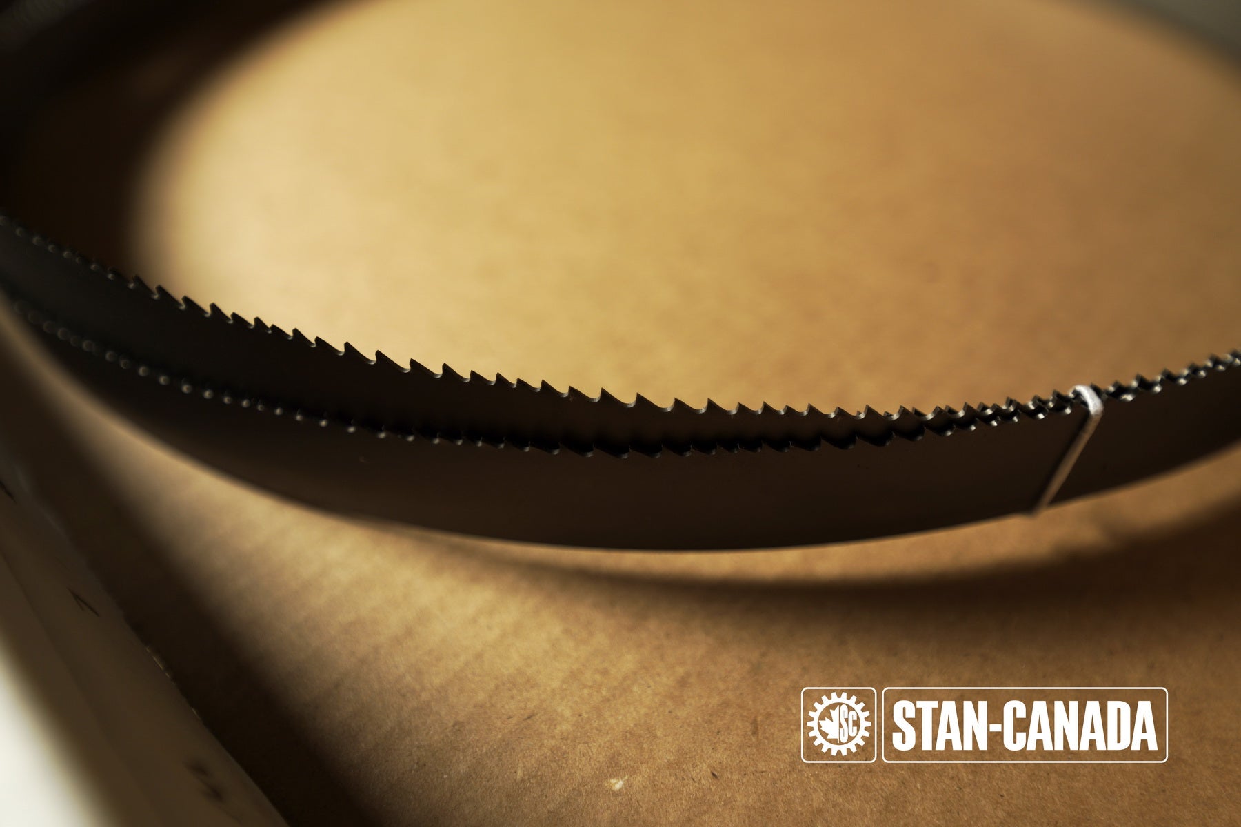 DeWalt Bandsaw Blades - 13ft - Stan Canada