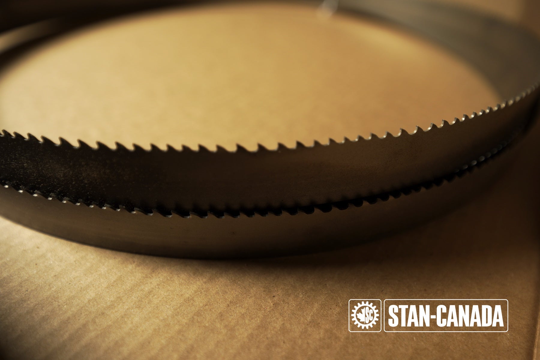 DeWalt Bandsaw Blades - 13ft - Stan Canada