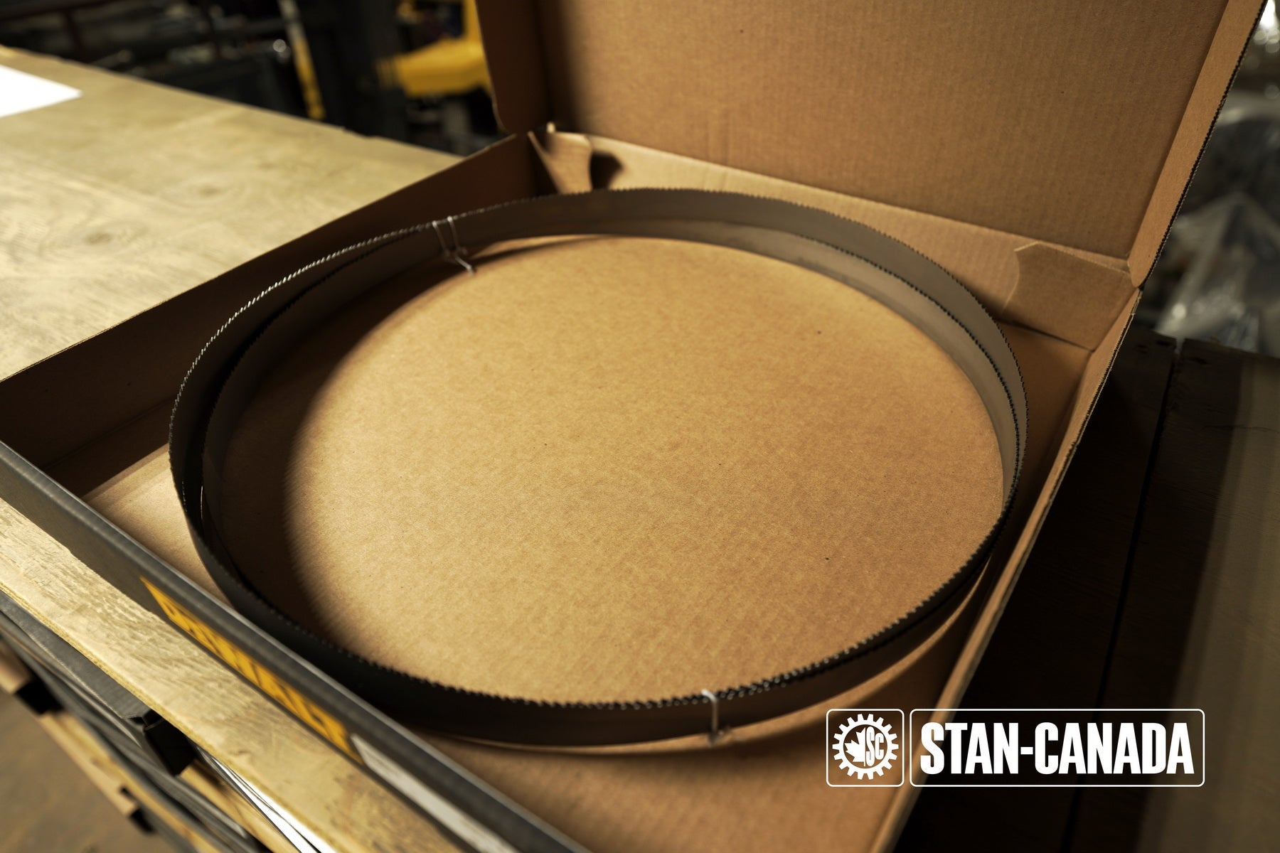 DeWalt Bandsaw Blades - 14ft - Stan Canada