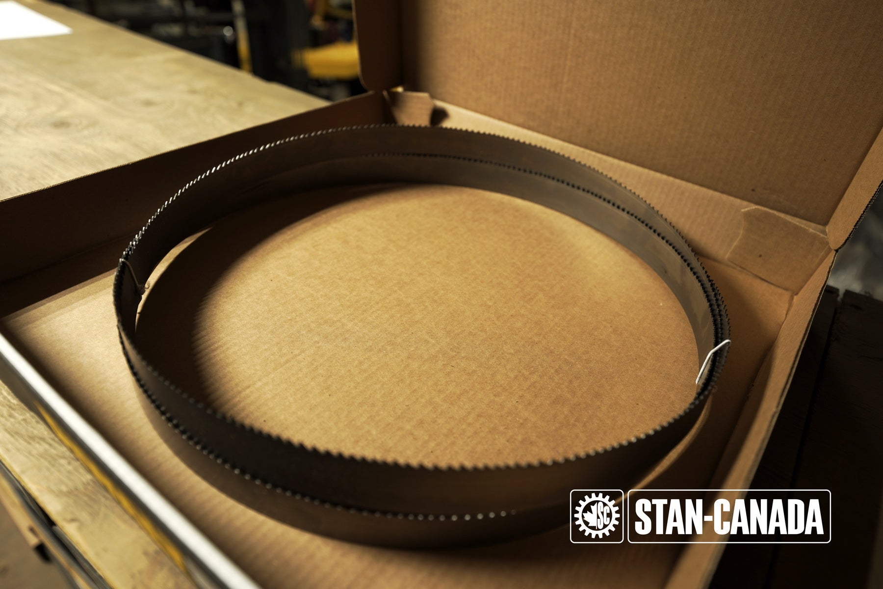 DeWalt Bandsaw Blades - 13ft - Stan Canada