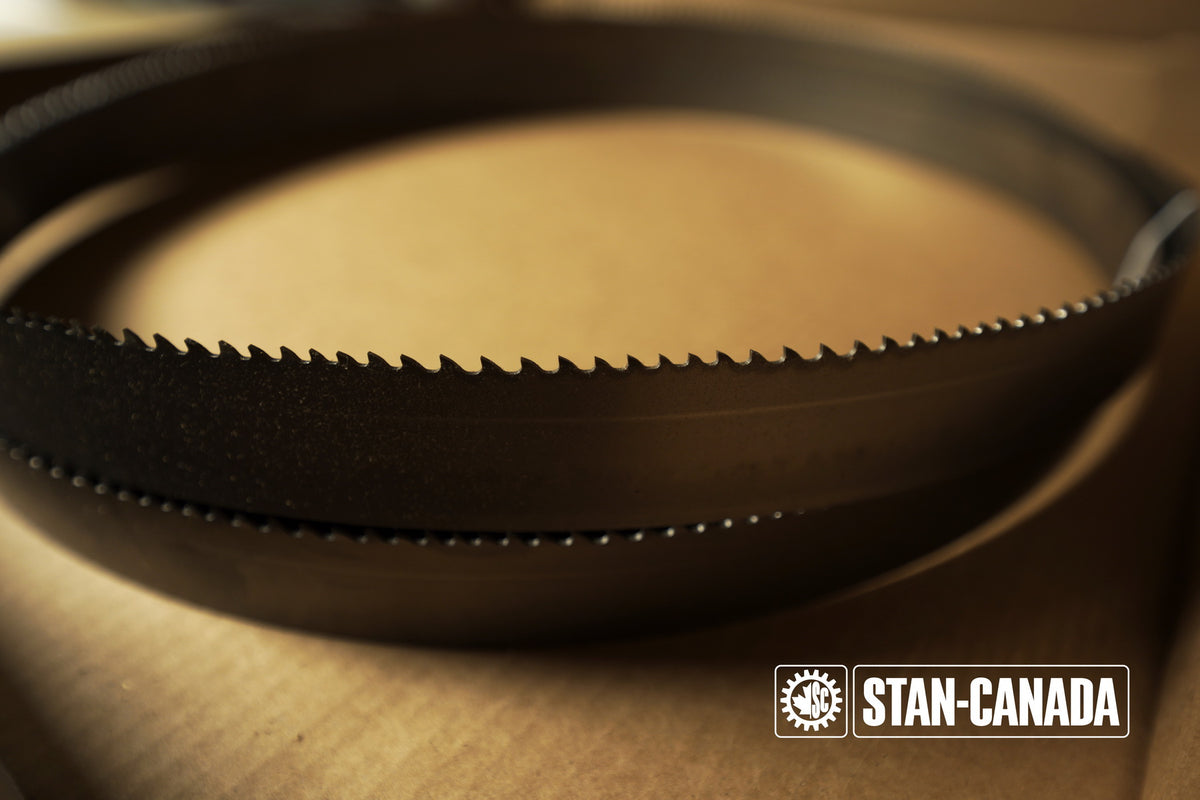 DeWalt Bandsaw Blades - 13ft - Stan Canada