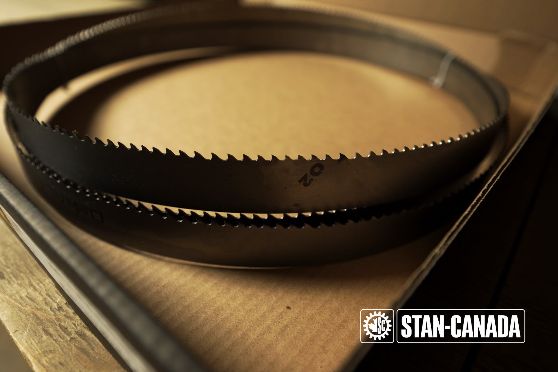 DeWalt Bandsaw Blades - 13ft - Stan Canada