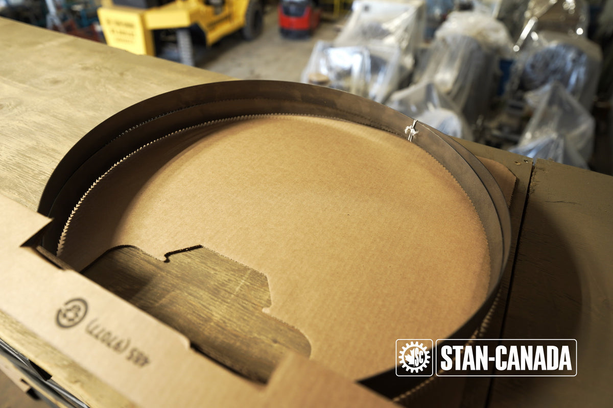 DeWalt Bandsaw Blades - 15ft - Stan Canada