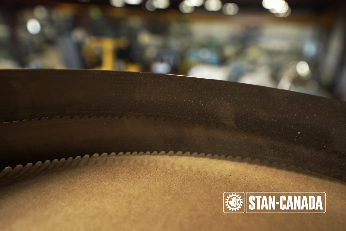 DeWalt Bandsaw Blades - 15ft - Stan Canada