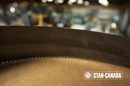 DeWalt Bandsaw Blades - 15ft - Stan Canada