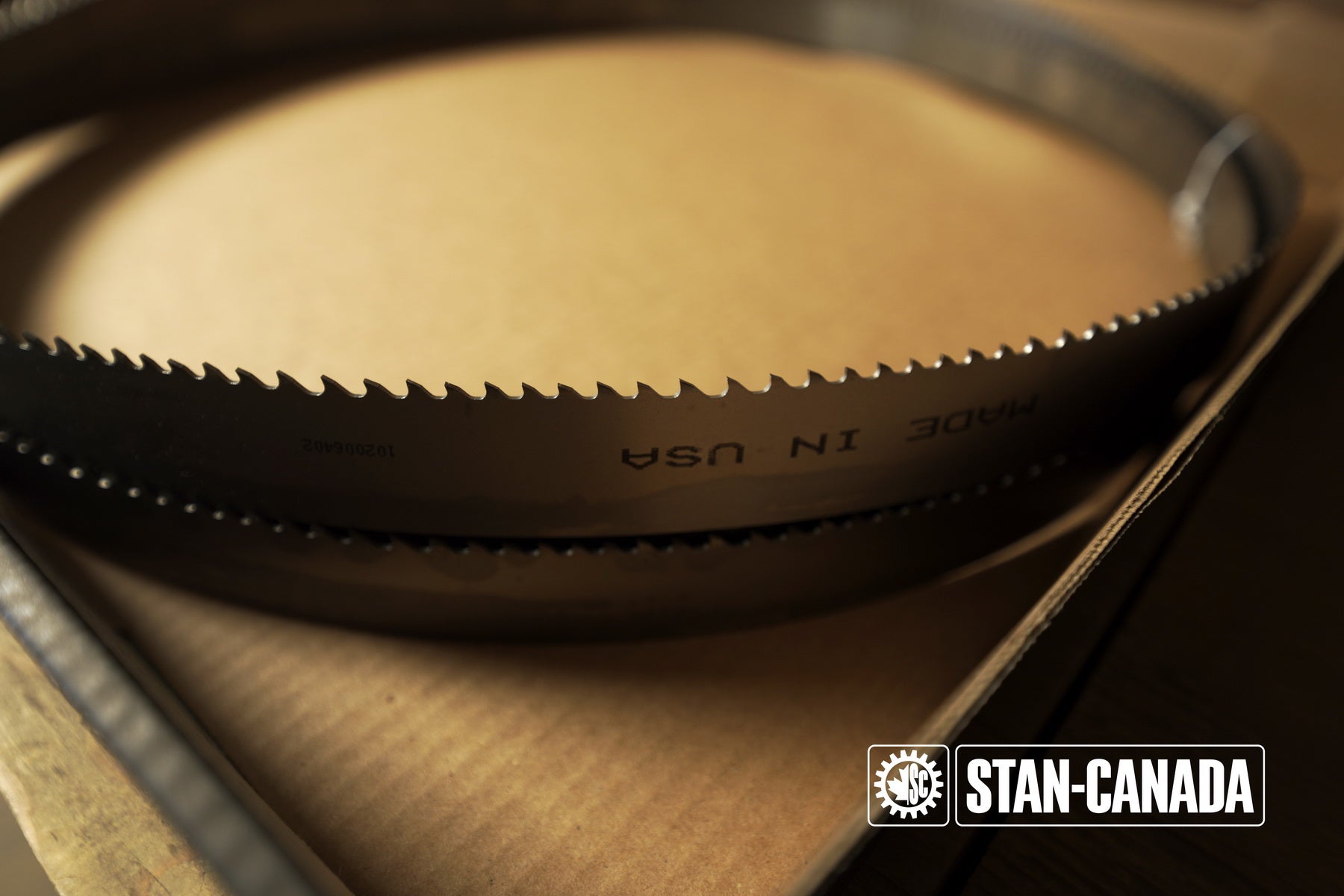 DeWalt Bandsaw Blades - 15ft - Stan Canada