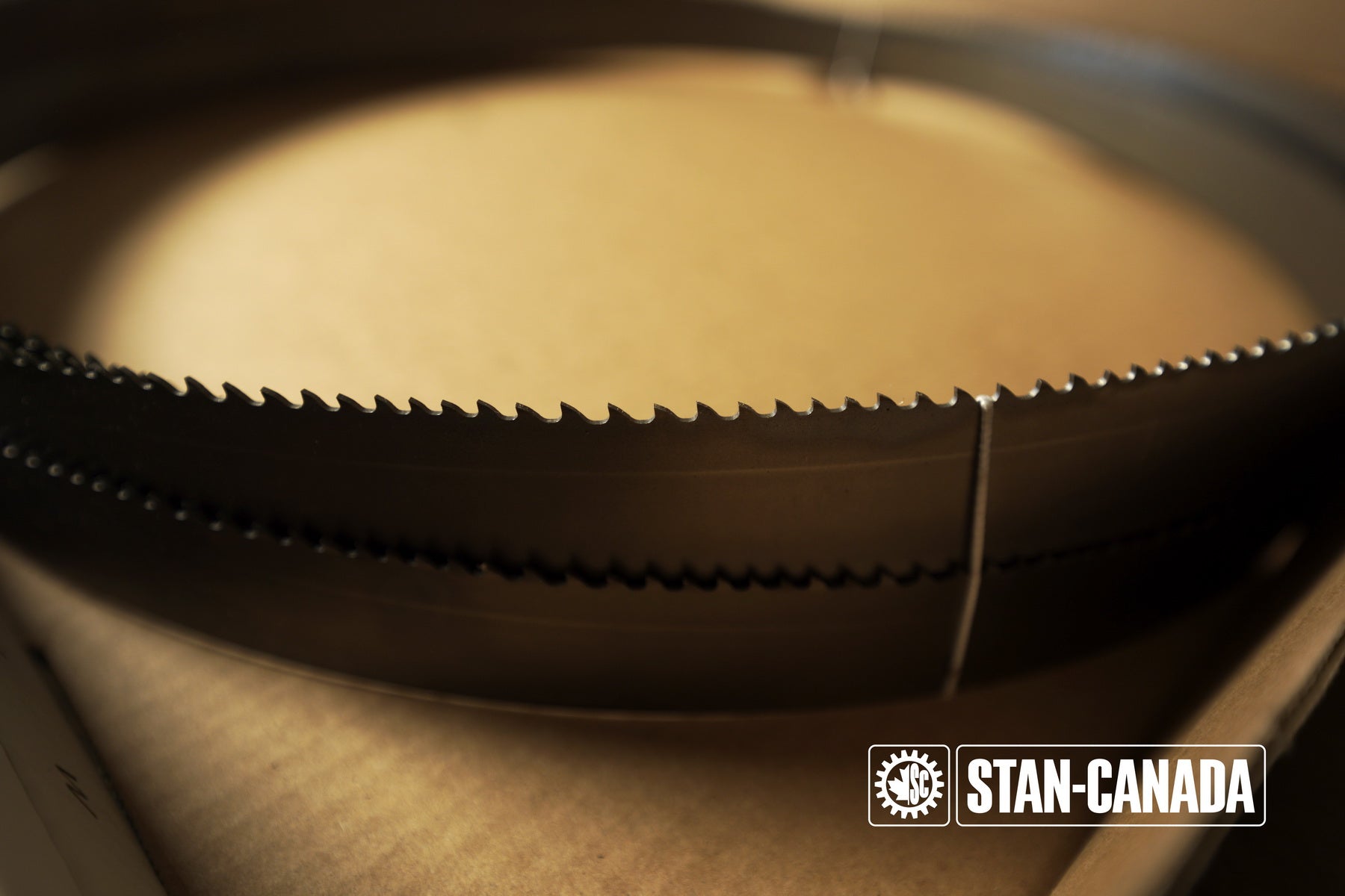 DeWalt Bandsaw Blades - 15ft - Stan Canada